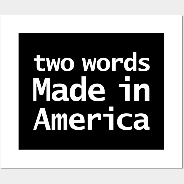 Two Words Made In America Joe Biden Memes Wall Art by ellenhenryart